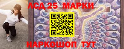 стаф Донской