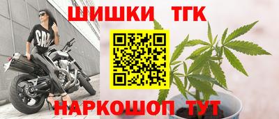 стаф Донской