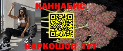 стаф Донской