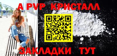 стаф Донской