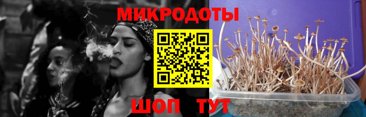 Малоярославец  Галлюциногенные грибы Psilocybine cubensis  Вход с VPN  Псилоцибиновые грибы Psilocybe 